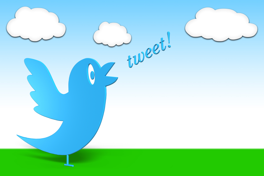 Blue bird of Twitter