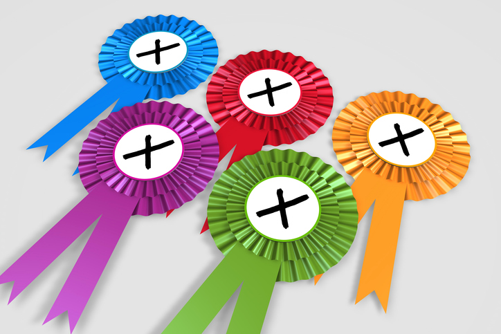 Party political rosettes