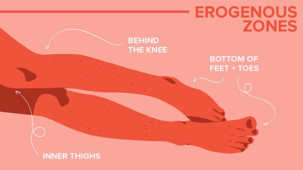 erogenous zones - woman.