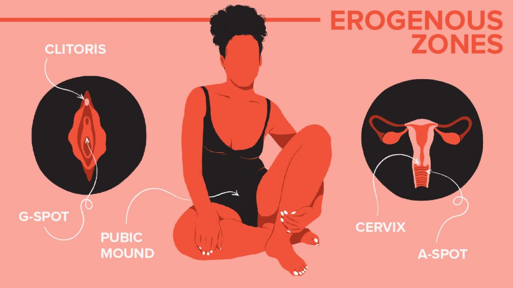 erogenous zones - woman